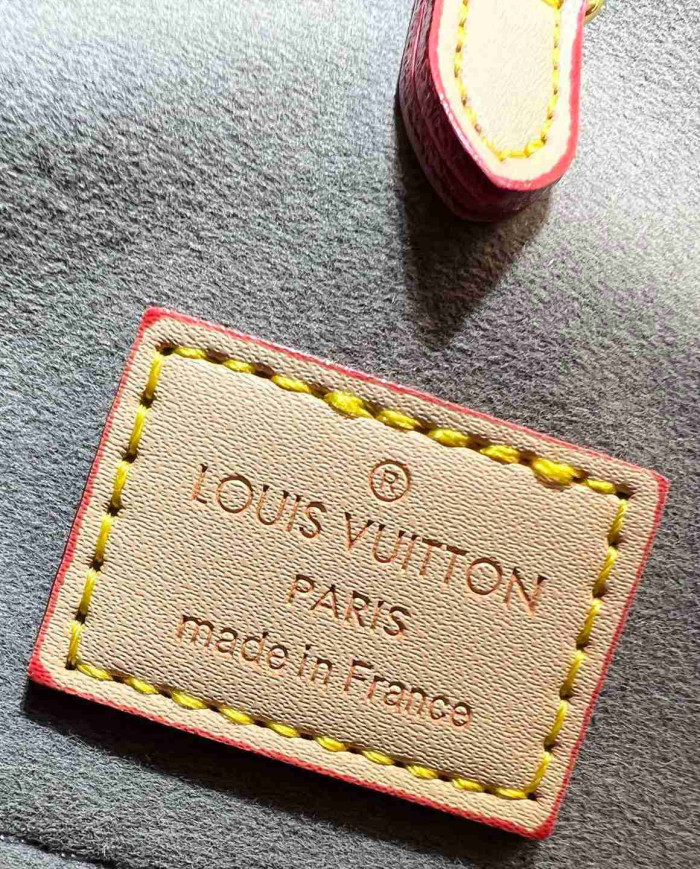 Louis Vuitton Large Tote Bag