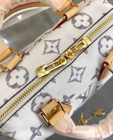 LV Top Handle Crossbody Bag