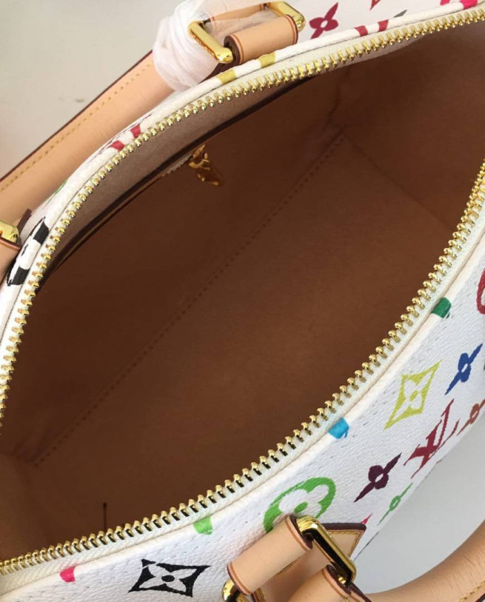 LV Printed Top Handle Crossbody Bag