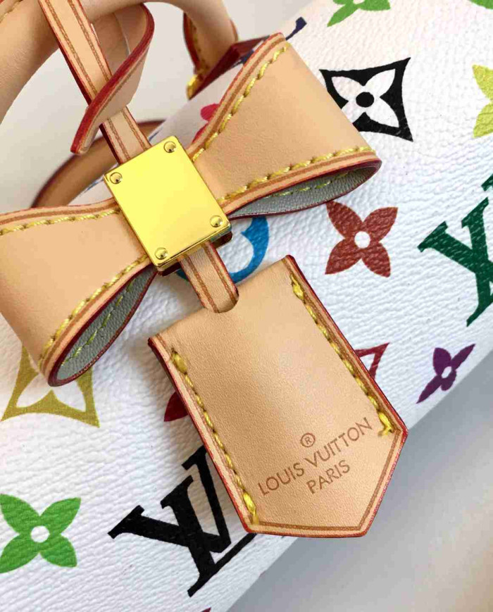 LV Printed Top Handle Crossbody Bag