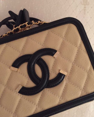 Chanel Quilted Vanity Case
