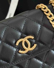 Chanel Quilted Vanity Case