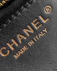 Chanel Quilted Chain Shoulder Bag