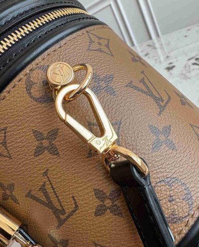 LV Monogram Nice Nano