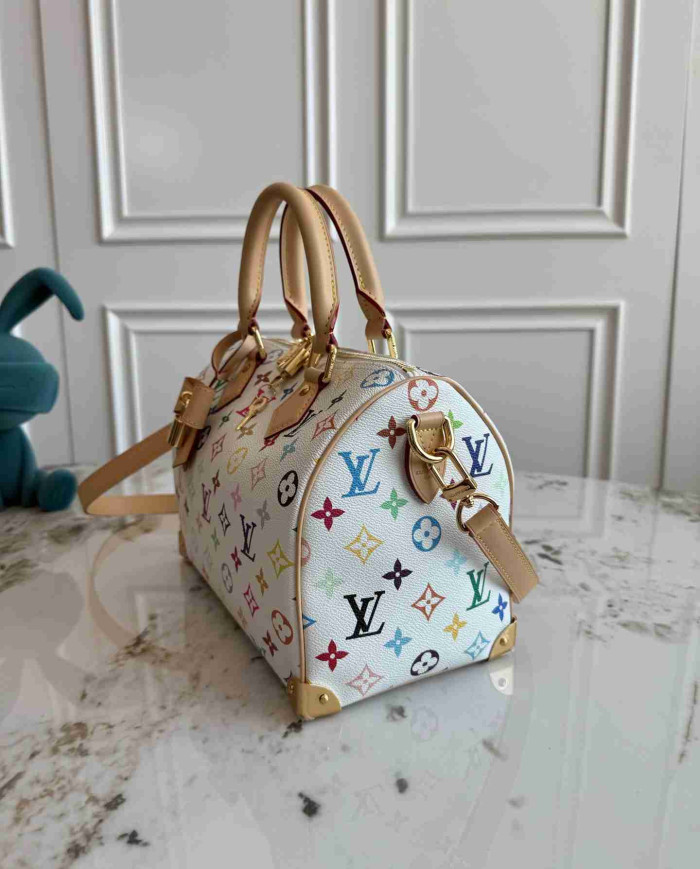LV Monogram Multicolore Speedy 25