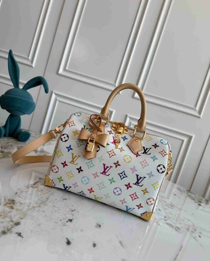 LV Monogram Multicolore Speedy 25