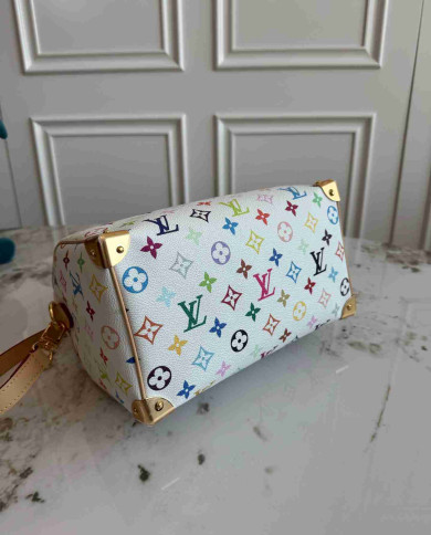 LV Monogram Multicolore Speedy 25