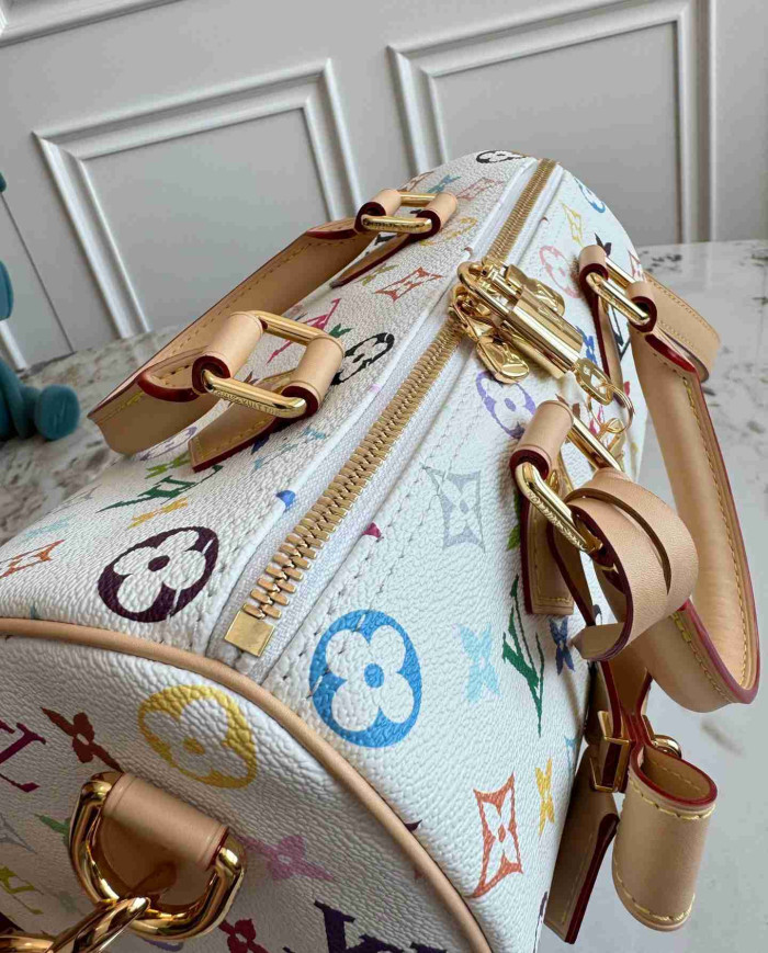 LV Monogram Multicolore Speedy 25