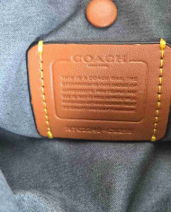 Coach Empire Carryall