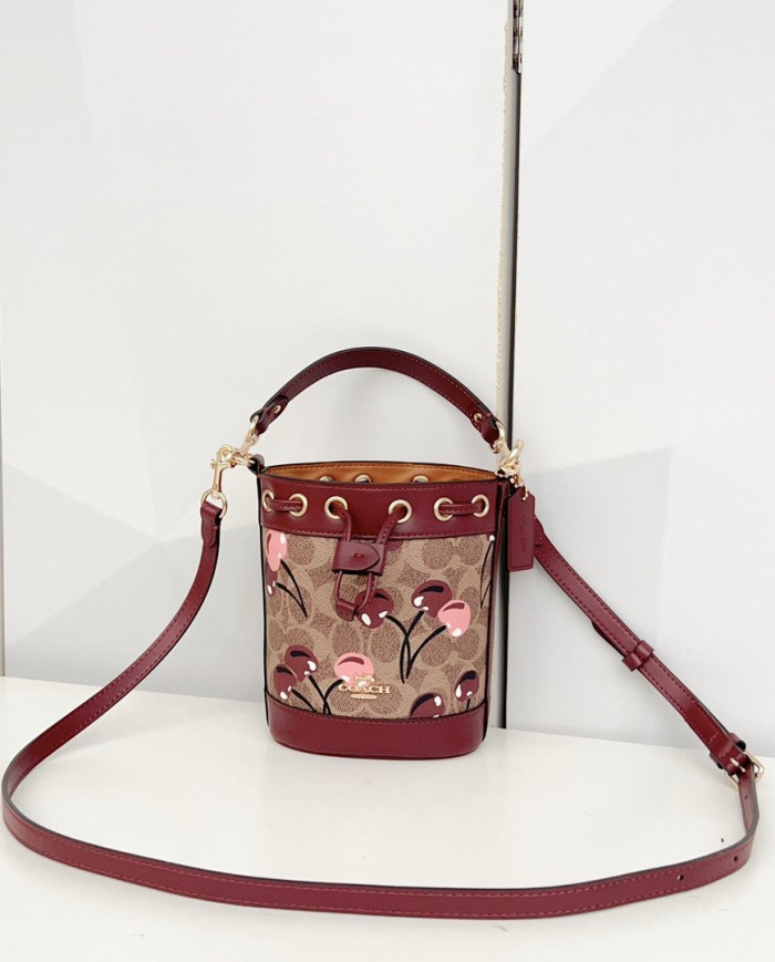Coach Teri Bucket Bag with Cherry Print