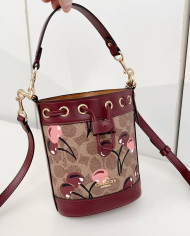 Coach Teri Bucket Bag with Cherry Print