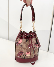 Coach Teri Bucket Bag with Cherry Print