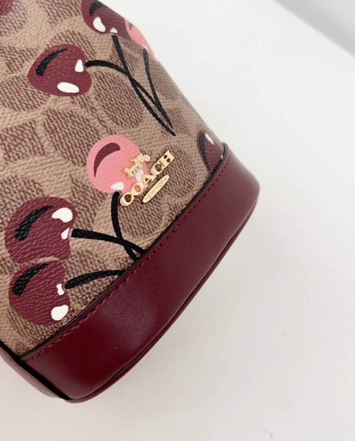 Coach Teri Bucket Bag with Cherry Print