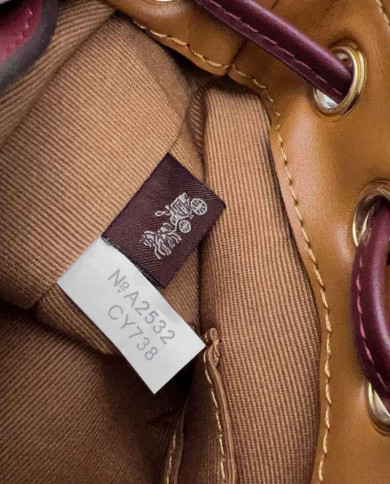 Coach Teri Bucket Bag with Cherry Print