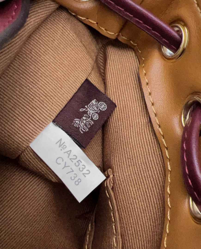 Coach Teri Bucket Bag with Cherry Print