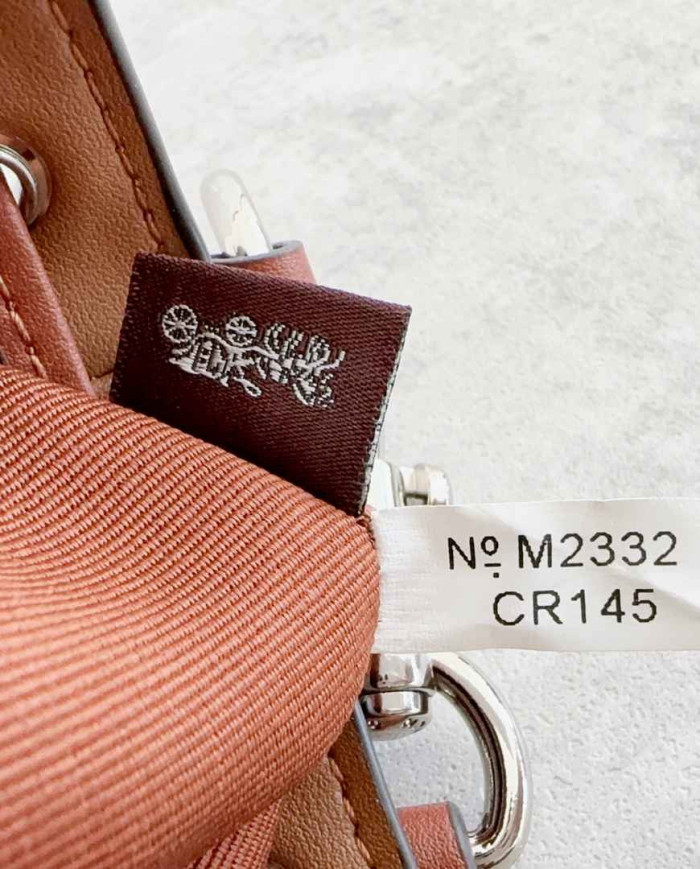 Coach Mini Bucket Bag