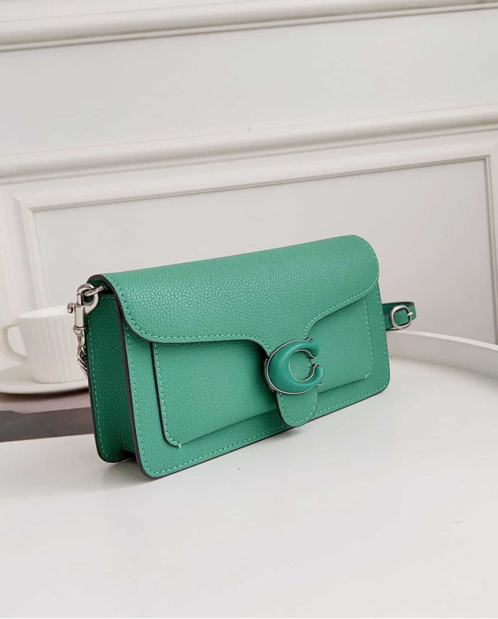 Coach Tabby Chain Clutch