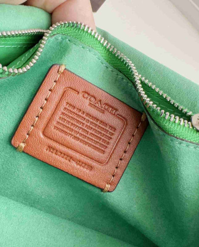 Coach Tabby Chain Clutch