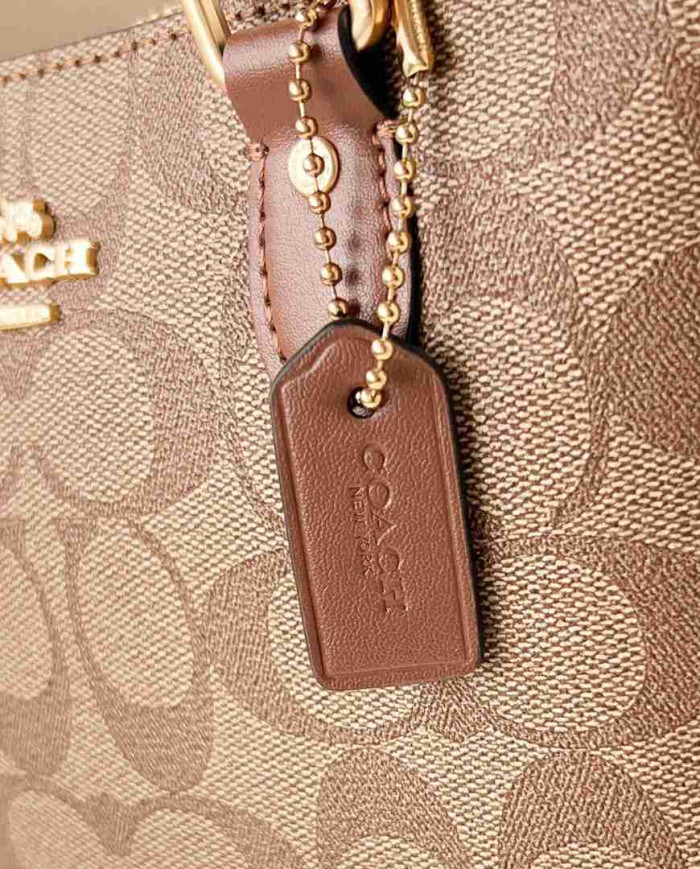 Coach Mini Gallery Crossbody