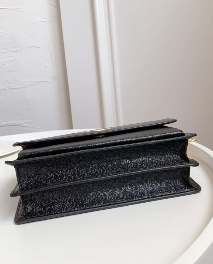 Coach Leather Chain Crossbody Bag