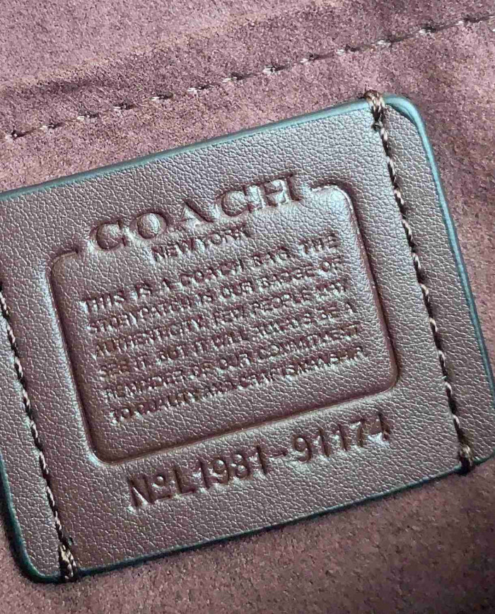 Coach Leather Chain Crossbody Bag