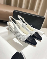 Chanel Women's Pointed Toe Wedge Shoes