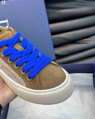 Dior B33 Casual Shoes