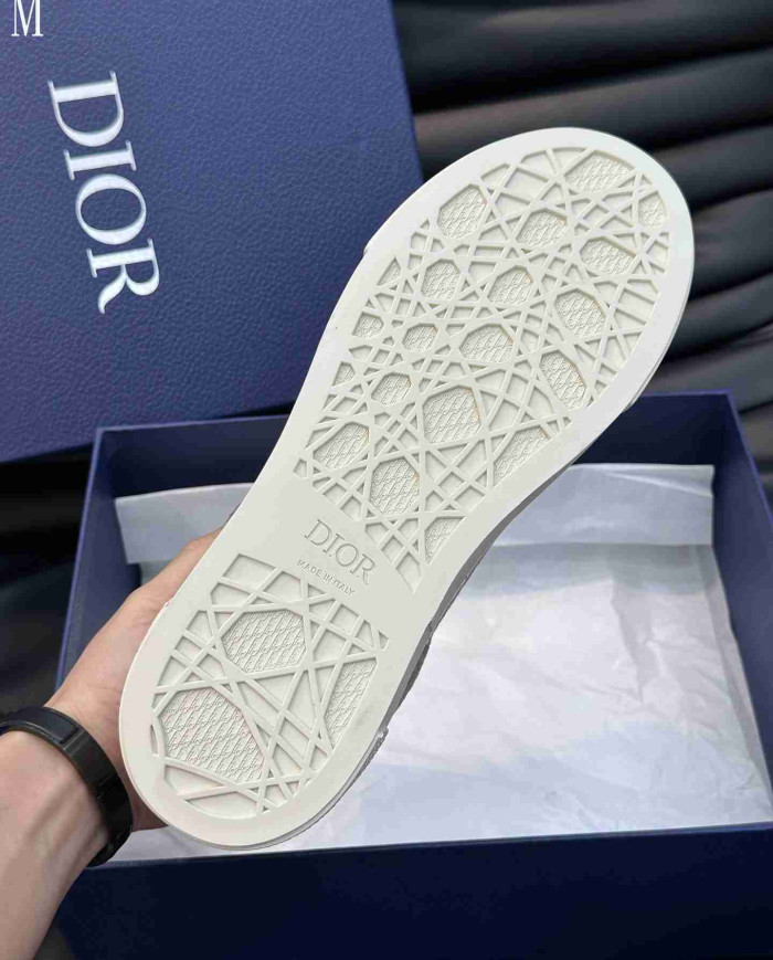 Dior B33 Casual Shoes
