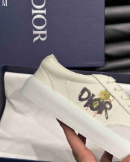 Dior B101 Co branded Low Top Casual Shoes