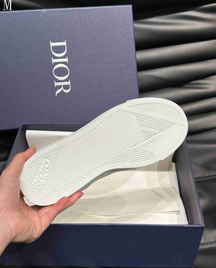 Dior B101 Co branded Low Top Casual Shoes