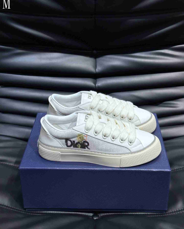Dior B33 Low Top Casual Shoes