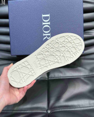 Dior B33 Low Top Casual Shoes