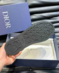 Dior B33 Low Top Casual Shoes
