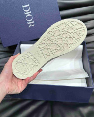 Dior B33 Low Top Casual Shoes
